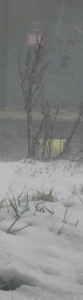 schneesturm_20050226_musa