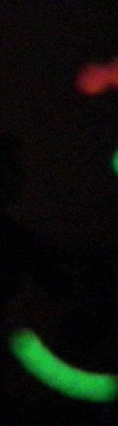fischinger._20061216_steffifischinger
